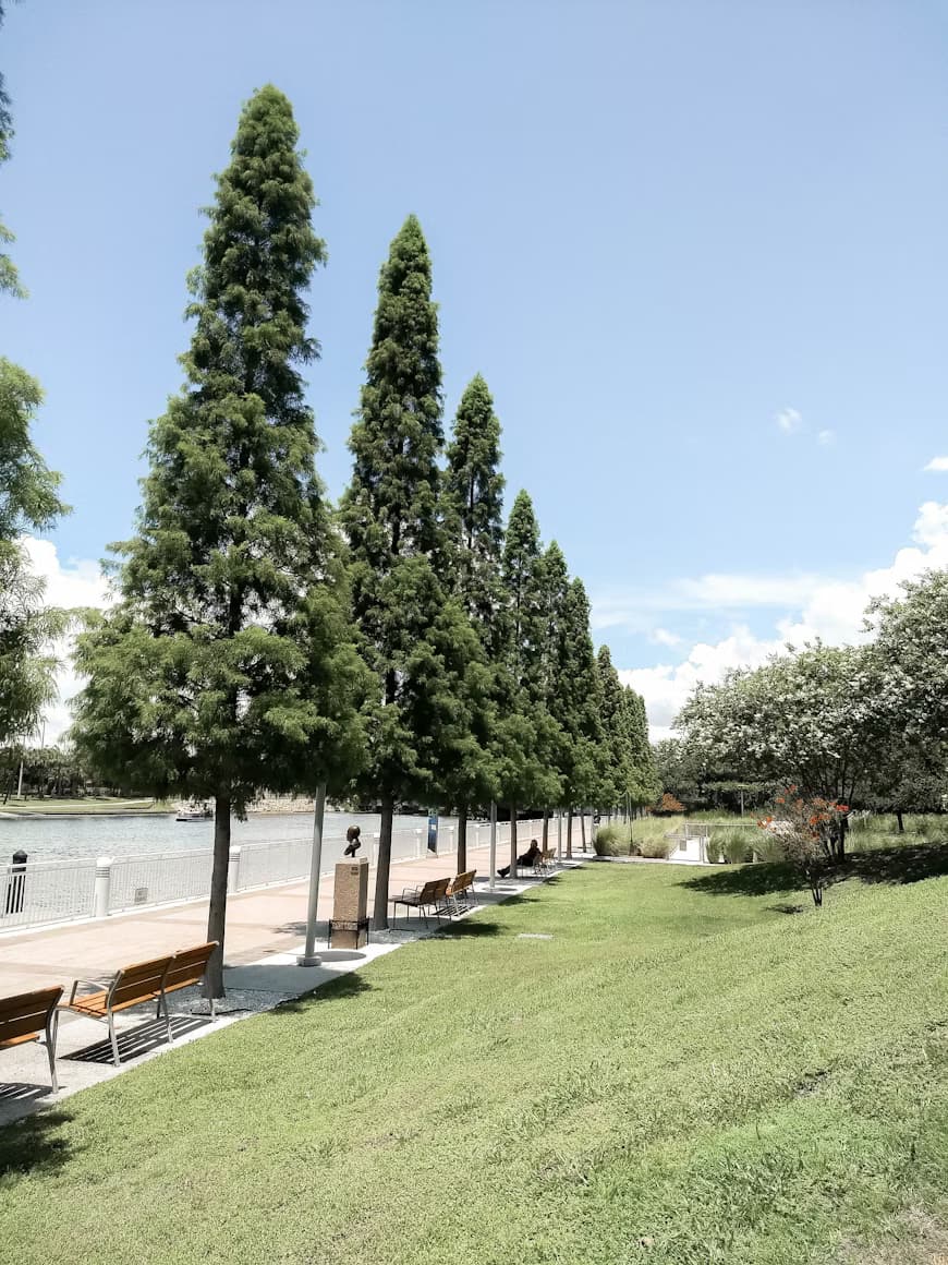 Landscaping sample image