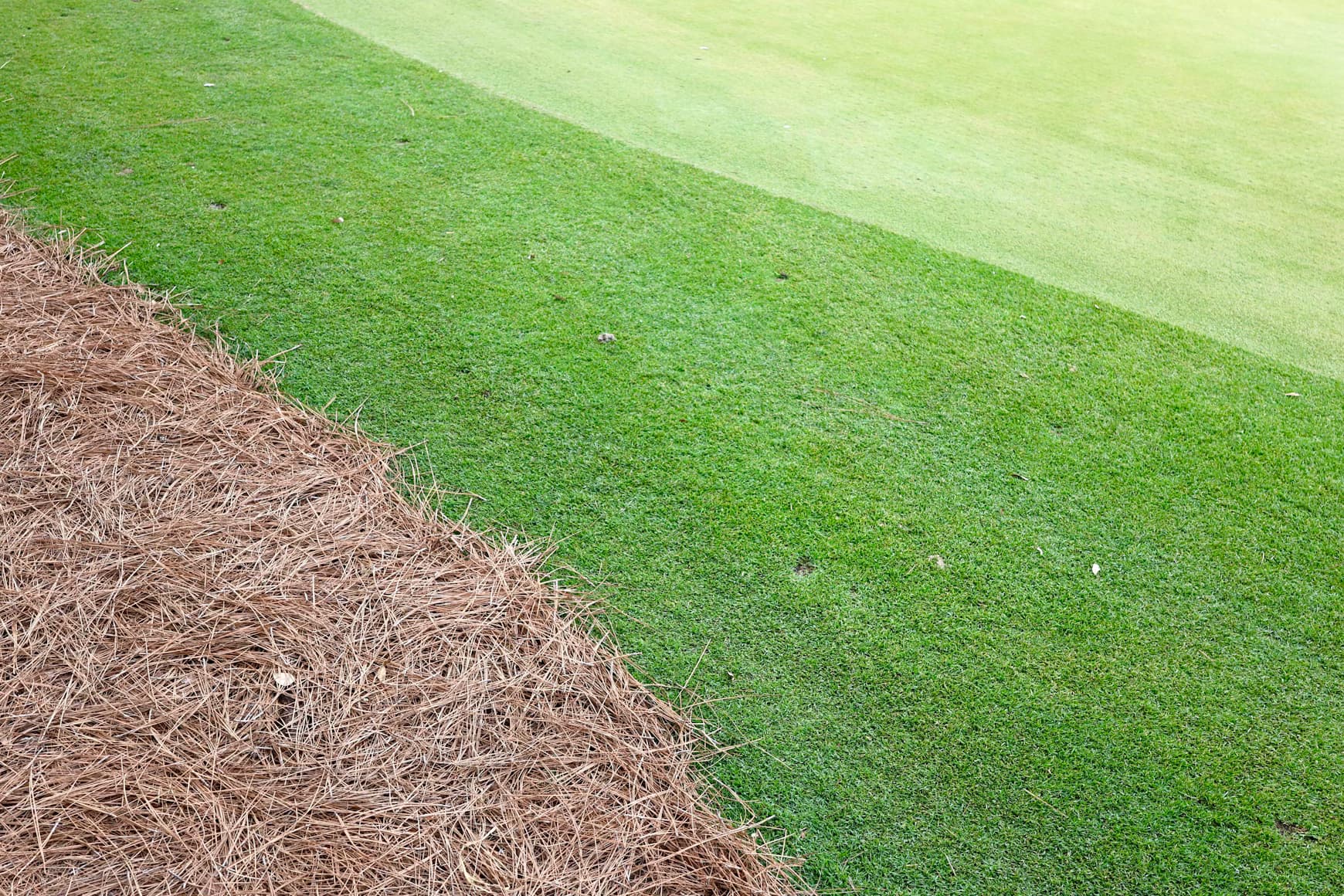 Landscaping sample image