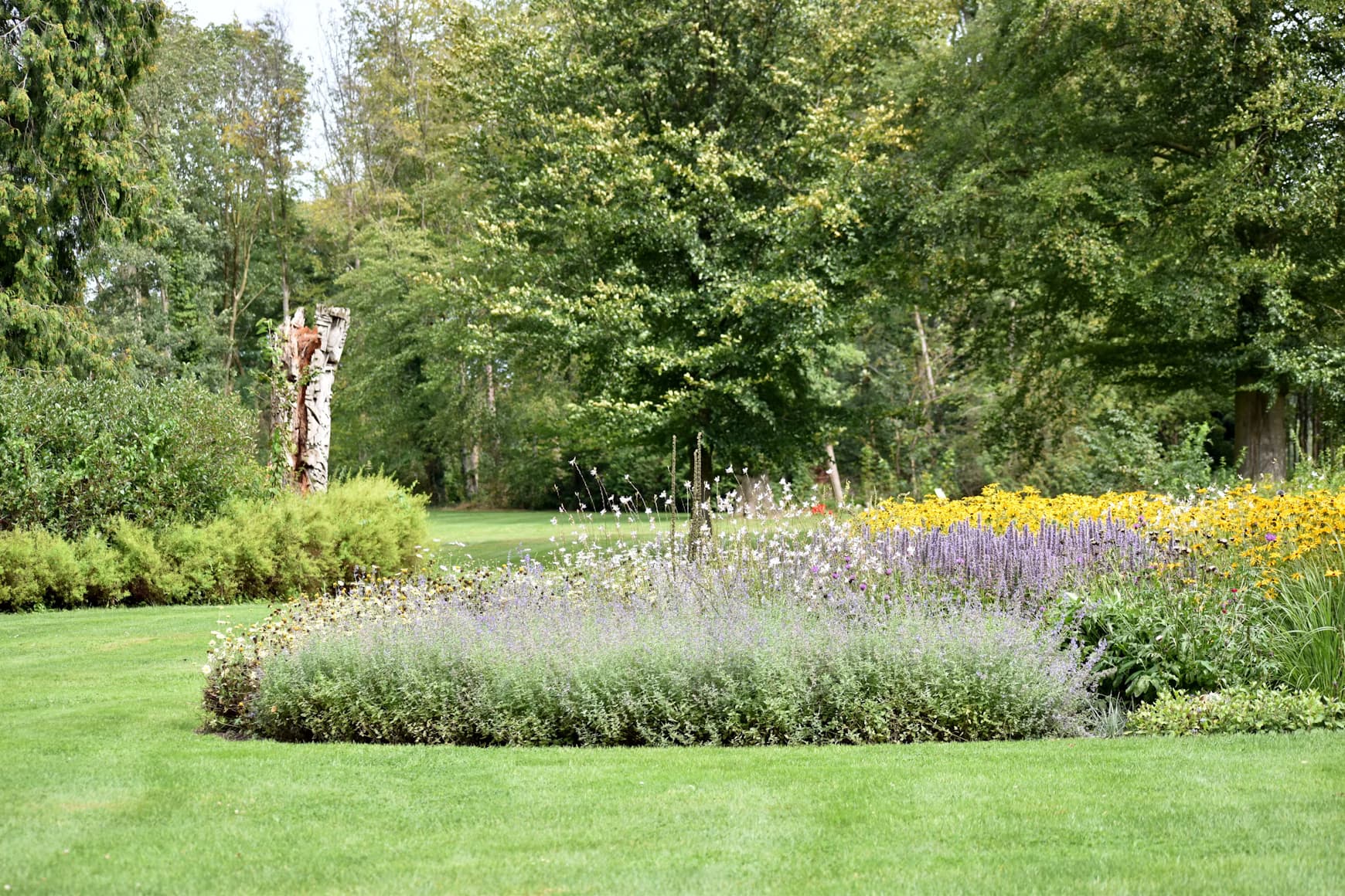 Landscaping sample image
